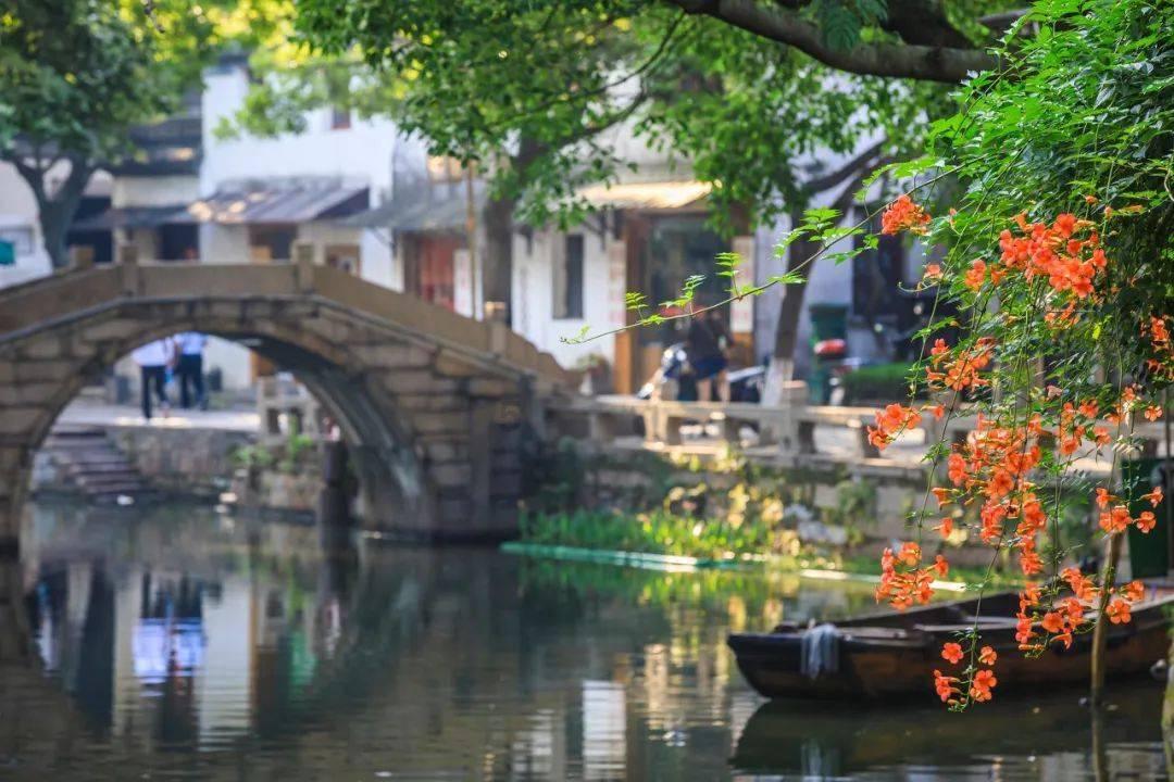 逃出蜜蜂岛
